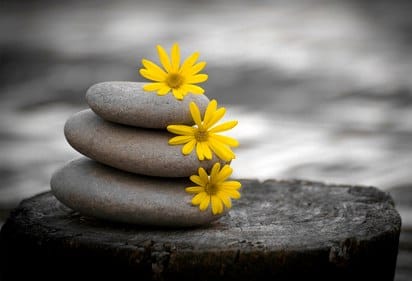 zen stones and daisies