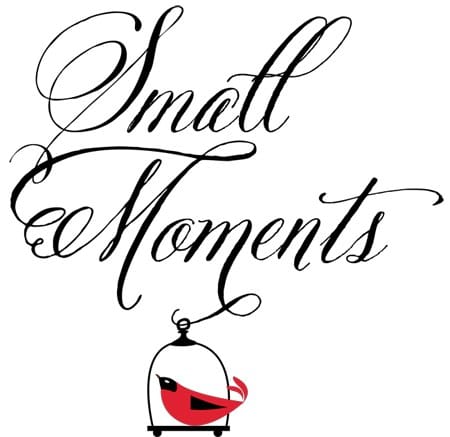 small moments are important to remember