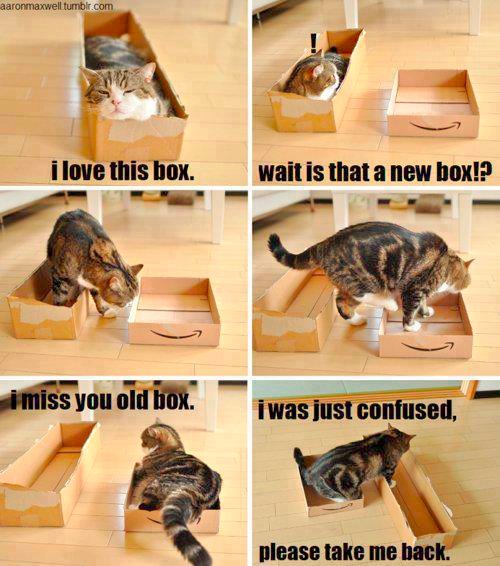 Relationships Are Like Cats And Boxes